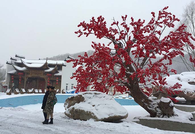 室外仿真树能做到这样只有北京这家公司做到了