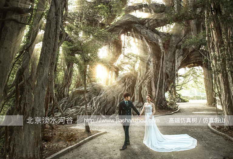 蒙娜丽莎室内绿色风情婚纱摄影仿真树设计-北京圣园工程