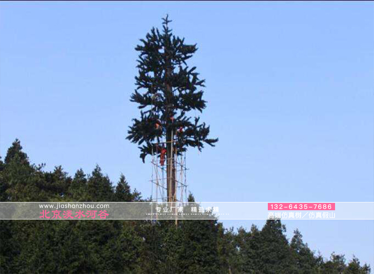 避雷针树和树形避雷针是现在景区的标准配置
