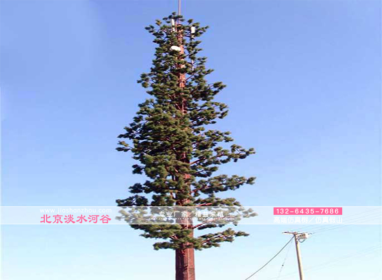 避雷仿真树的真实身份是“避雷针”能保障游客安全