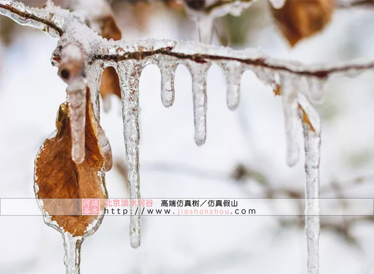 处理冰雪灾害天气下的仿真树景观的6个技巧