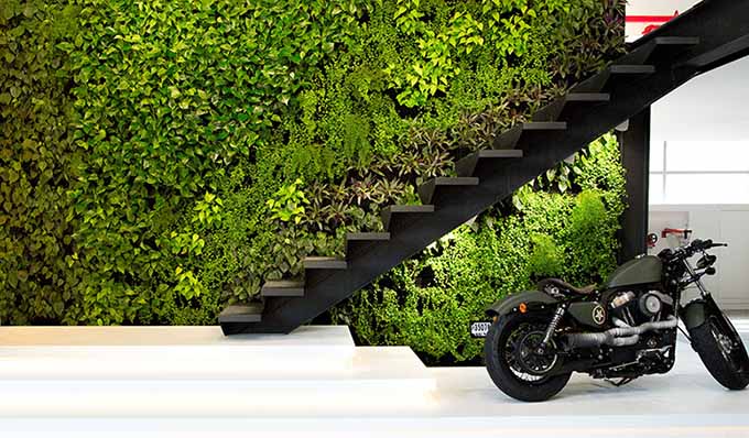 img_775_Green-Fortune-Plantwall-Dubai-LS-Design-01.jpg