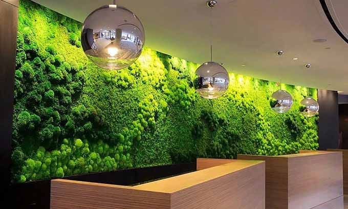 artisan-moss-cleveland-hilton-green-wall-900x540.jpg